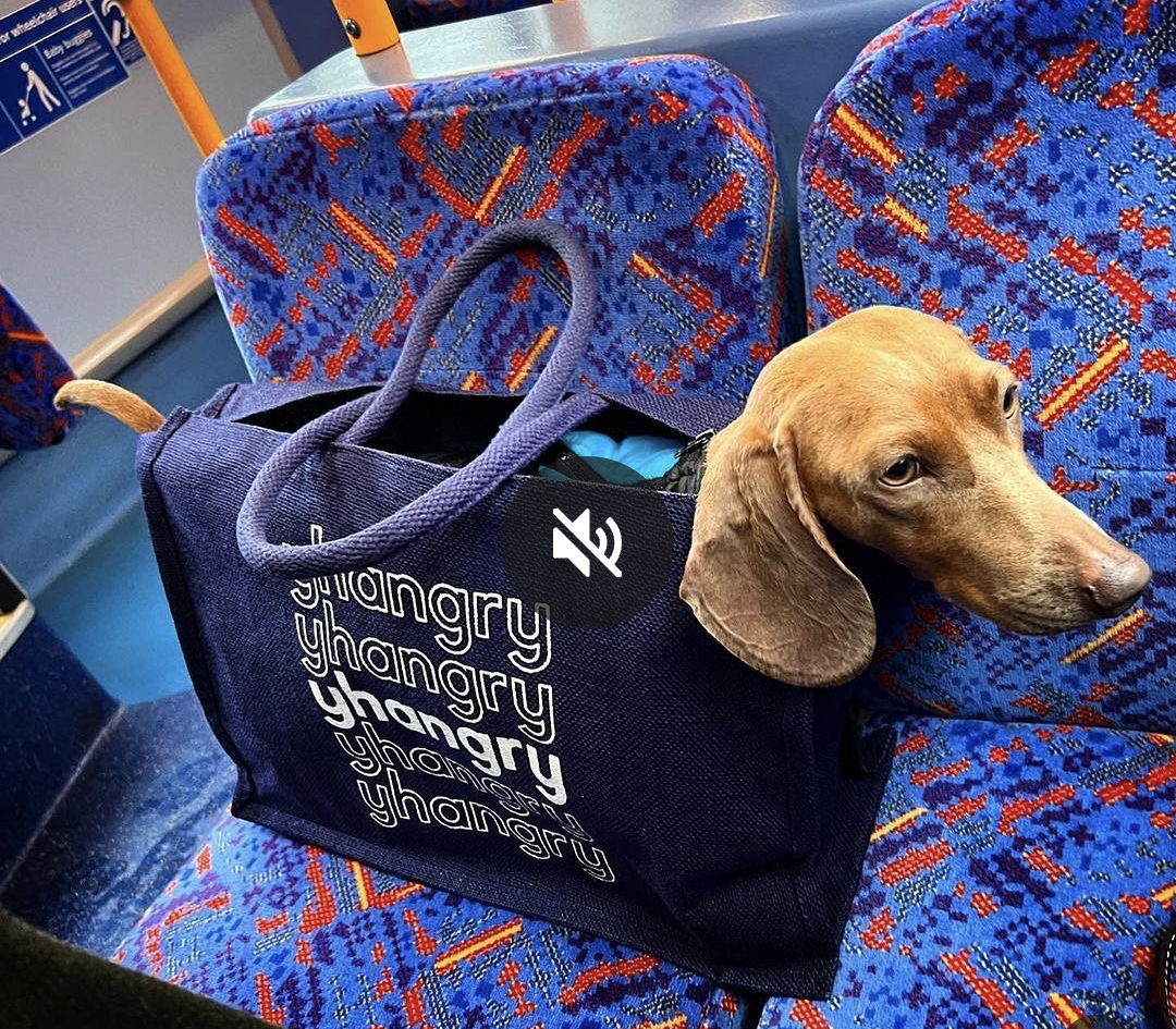 yhangry jute bag